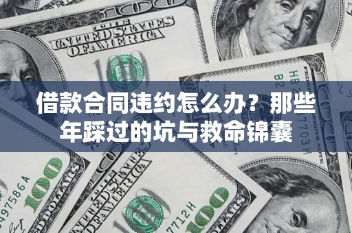 武汉借款合同违约怎么办?那些年踩过的坑与救命锦囊 武汉借款合同违约怎么办?那些年踩过的坑与救命锦囊